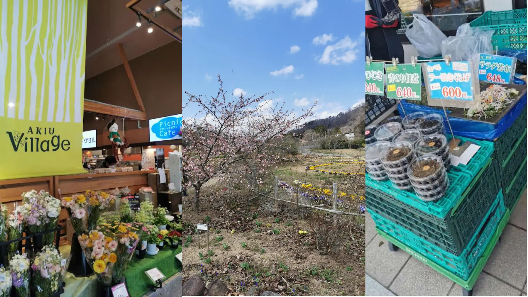 Marché de producteurs et parc floral d'Akiu Village près de Sendai, fleurs et produits locaux
