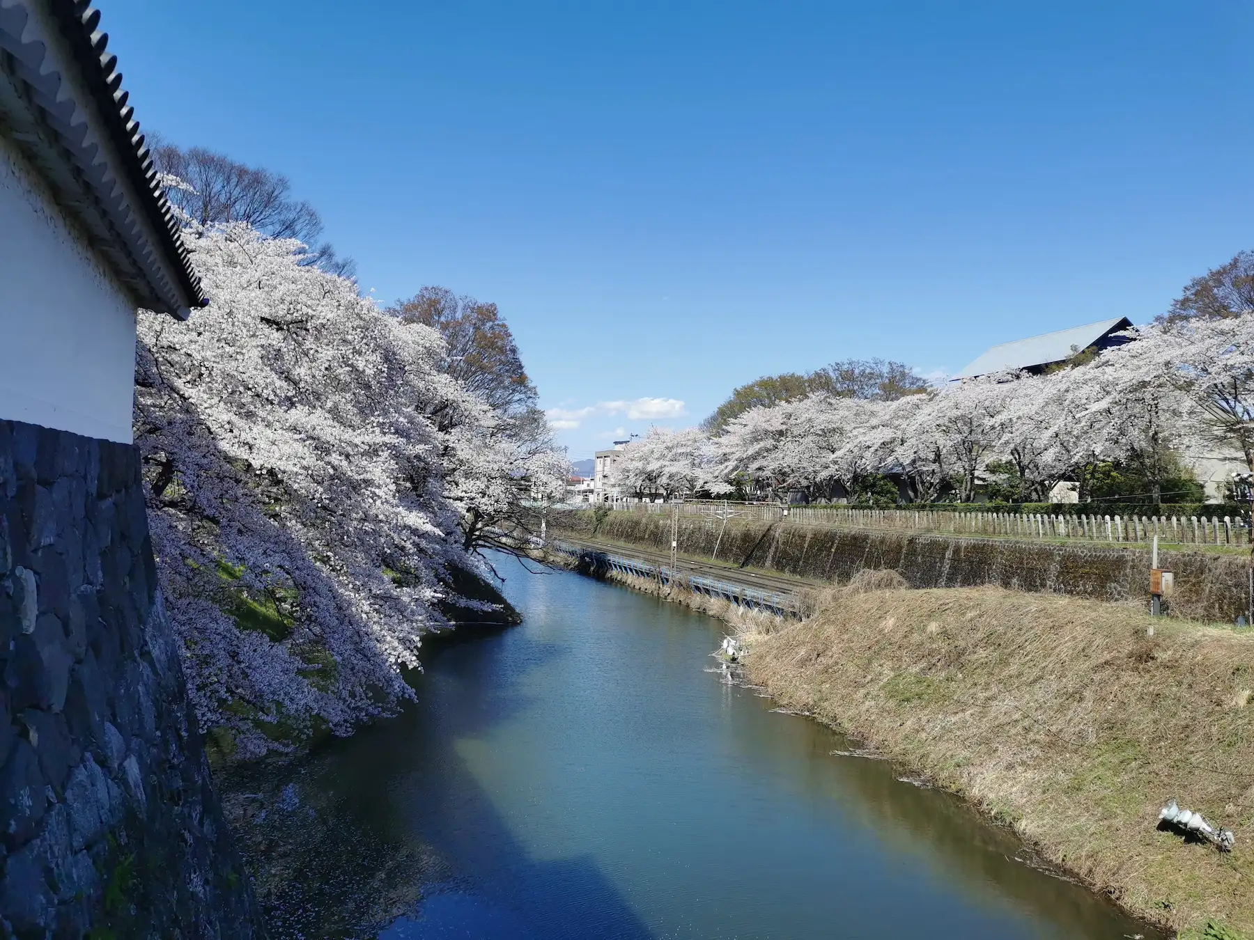 Douves du château de Yamagata bordées de cerisiers en fleurs, mur d'enceinte en pierre et voie ferrée longeant le fossé