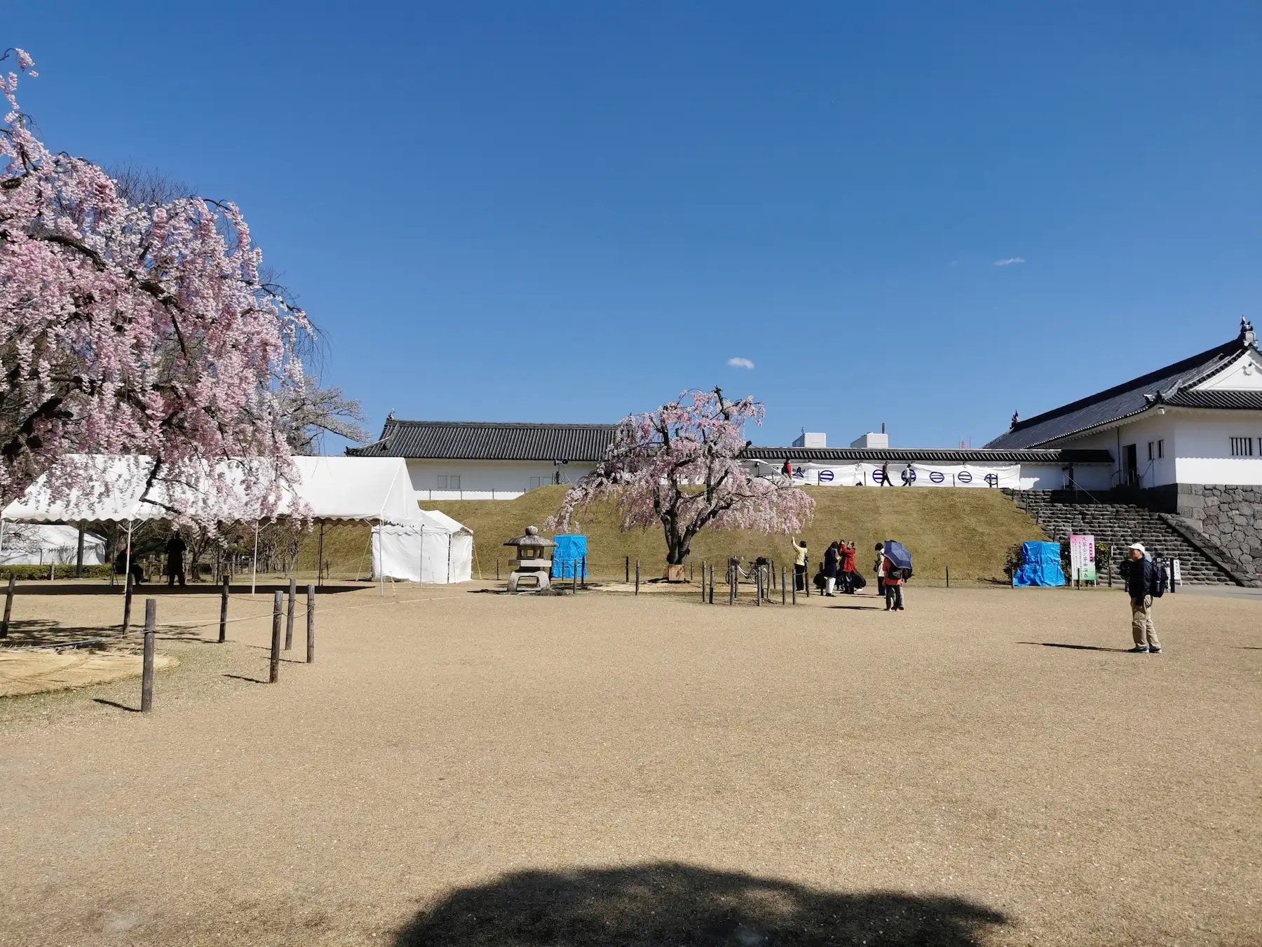 Esplanade du château de Yamagata avec cerisiers pleureurs, lanterne en pierre, tentes de festival et remparts reconstitués