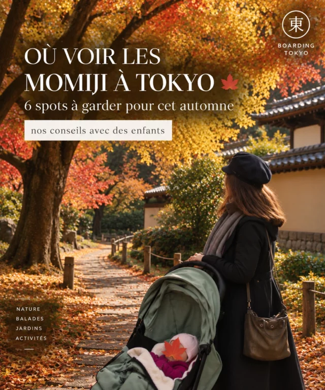 Tokyo passe bientôt au rouge 🍁

Les momiji font partie de ces moments qu’on attend particulièrement. Et avec des enfants, tous les spots ne se valent pas forcément.

On a donc sélectionné 6 endroits à Tokyo et autour pour profiter des couleurs d’automne :

🍁 Yoyogi Park
🍂 Showa Kinen Park
🍁 Shinjuku Gyoen
🍂 Icho Namiki
🍁 Koishikawa Kōrakuen
🍂 Mont Takao

À Tokyo, les couleurs sont généralement les plus belles de fin novembre à début décembre, avec Takao qui rougit un peu plus tôt.

À enregistrer pour cet automne — et à envoyer à la personne avec qui vous iriez voir les momiji. 🍁

#tokyo #momiji #tokyoautomne #tokyoenfamille #japonenfamille #voyageaujapon #vivreaujapon #boardingtokyo