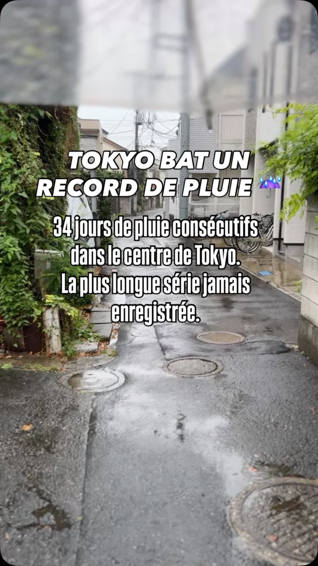 34 jours consécutifs de pluie. Un record historique depuis le début des relevés en 1886. ￼
Et dire qu’on attendait septembre pour profiter de températures plus agréables…
Vous aussi, vous commencez à oublier à quoi ressemble le soleil ? 😂
#Tokyo #Japon #VivreAuJapon #BoardingTokyo