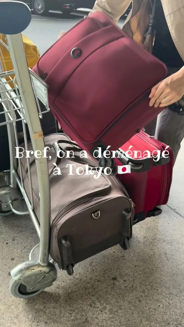 Bref, on a déménagé à Tokyo. 🇯🇵

2 adultes, 2 enfants, quelques valises et une nouvelle vie à construire à l’autre bout du monde. ✈️

Entre découvertes, galères, surprises et petits bonheurs du quotidien… on vous embarque dans notre aventure japonaise ! 🇯🇵

👉 Suivez @boardingtokyo pour découvrir notre nouvelle vie au Japon, sans filtre et en famille !

#BoardingTokyo #VivreAuJapon #TokyoLife #Expatriation #FamilleAuJapon